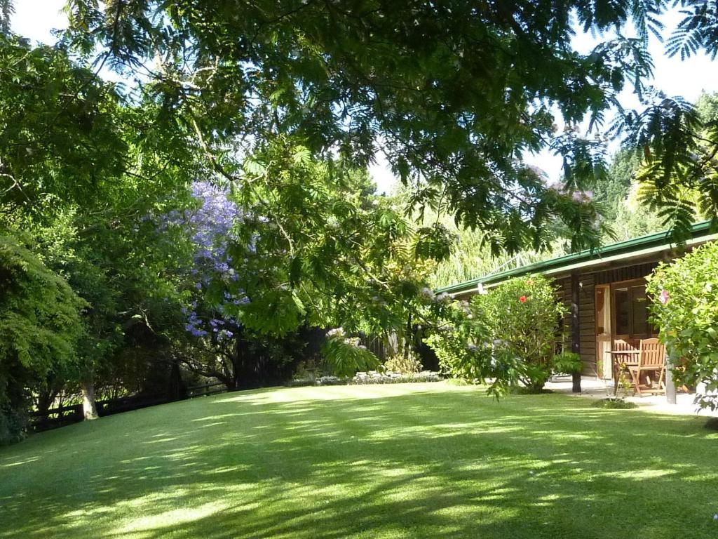 Thorold Country House Thames Bagian luar foto